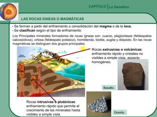 CAPÍTULO La Geosfera
LAS ROCAS IGNEAS O MAGMÁTICAS
- Se forman a partir del enfriamiento o consolidación del magma o de la lava.
- Se clasifican según el tipo de enfriamiento:
Los Principales minerales formadores de rocas ígneas son: cuarzo, plagioclasas (feldespatos
calcosódicos), ortosa (feldespato potásico), hornblenda, biotita, augita y diópsido. En las rocas
magmáticas se distinguen dos grupos principales.

Rocas extrusivas o volcánicas:
enfriamiento rápido y cristales no
visibles a simple vista, aspecto
homogéneo.

Basalto.

Rocas intrusivas o plutónicas:
enfriamiento rápido que permite el
crecimiento de los minerales hasta
visibles a simple vista.

Granito.

 