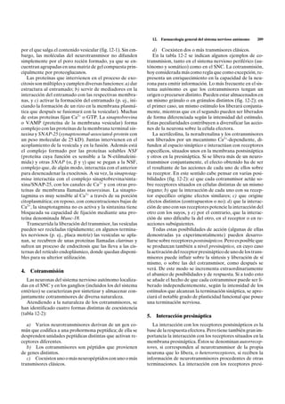 12.   Farmacología general del sistema nervioso autónomo   209

por el que salga el contenido vesicular (fig. 12-1). Sin em-      d) Coexisten dos o más transmisores clásicos.
bargo, las moléculas del neurotransmisor no difunden              En la tabla 12-2 se indican algunos ejemplos de co-
simplemente por el poro recién formado, ya que se en-          transmision, tanto en el sistema nervioso periférico (au-
cuentran agrupadas en una matriz de gel compuesta prin-        tónomo y somático) como en el SNC. La cotransmisión,
cipalmente por proteoglucanos.                                 hoy considerada más como regla que como excepción, re-
   Las proteínas que intervienen en el proceso de exo-         presenta un enriquecimiento en la capacidad de la neu-
citosis son múltiples y cumplen diversas funciones: a) dar     rona para emitir información. Lo más frecuente en el sis-
estructura al entramado; b) servir de mediadores en la         tema autónomo es que los cotransmisores tengan un
interacción del entramado con las respectivas membra-          origen o precursor distinto. Pueden estar almacenados en
nas, y c) activar la formación del entramado (p. ej., ini-     un mismo gránulo o en gránulos distintos (fig. 12-2); en
ciando la formación de un rizo en la membrana plasmá-          el primer caso, un mismo estímulo los liberará conjunta-
tica que después se fusionará con la vesicular). Muchas        mente, mientras que en el segundo pueden ser liberados
de estas proteínas fijan Ca2+ o GTP. La sinaptobrevina         de forma diferenciada según la intensidad del estímulo.
o VAMP (proteína de la membrana vesicular) forma               Estas peculiaridades contribuyen a diversificar las accio-
complejo con las proteínas de la membrana terminal sin-        nes de la neurona sobre la célula efectora.
taxina y SNAP-25 (synaptosomal-associated-protein con             La acetilcolina, la noradrenalina y los cotransmisores
un peso molecular de 25 kD). Juntas intervienen en el          son liberados por un mecanismo Ca2+-dependiente, di-
acoplamiento de la vesícula y en la fusión. Además está        funden al espacio sináptico e interactúan con receptores
el complejo formado por las proteínas solubles NSF             específicos, situados unos en la membrana postsináptica
(proteína cuya función es sensible a la N-etilmaleini-         y otros en la presináptica. Si se libera más de un neuro-
mida) y otras SNAP (a, b y g) que se pegan a la NSF,           transmisor conjuntamente, el efecto obtenido ha de ser
complejo que, de algún modo, interactúa con el anterior        el resultante de las acciones de cada uno de ellos sobre
para desencadenar la exocitosis. A su vez, la sinaptotag-      su receptor. En este sentido cabe pensar en varias posi-
mina interactúa con el complejo sinaptobrevina/sinta-          bilidades (fig. 12-2): a) que cada cotransmisor actúe so-
xina/SNAP-25, con los canales de Ca2+ y con otras pro-         bre receptores situados en células distintas de un mismo
teínas de membrana llamadas neurexinas. La sinapto-            órgano; b) que la interacción de cada uno con su recep-
tagmina es muy sensible al Ca2+ a través de su porción         tor específico origine efectos similares; c) que origine
citoplasmática; en reposo, con concentraciones bajas de        efectos distintos (contrapuestos o no); d) que la interac-
Ca2+, la sinaptotagmina no es activa y la sintaxina tiene      ción de uno con sus receptores potencie la interacción del
bloqueada su capacidad de fijación mediante una pro-           otro con los suyos, y e) por el contrario, que la interac-
teína denominada Munc-18.                                      ción de uno dificulte la del otro, en el receptor o en re-
   Transcurrida la liberación del transmisor, las vesículas    acciones subsiguientes.
pueden ser recicladas rápidamente; en algunos termina-            Todas estas posibilidades de acción (algunas de ellas
les nerviosos (p. ej., placa motriz) las vesículas se apla-    demostradas ya experimentalmente) pueden desarro-
nan, se recubren de unas proteínas llamadas clatrinas y        llarse sobre receptores postsinápticos. Pero es posible que
sufren un proceso de endocitosis que las lleva a las cis-      se produzcan también a nivel presináptico, en cuyo caso
ternas del retículo endoplásmico, donde quedan disponi-        la activación del receptor presináptico de uno de los trans-
bles para su ulterior utilización.                             misores puede influir sobre la síntesis y liberación de sí
                                                               mismo, o sobre las del cotransmisor, como después se
                                                               verá. De este modo se incrementa extraordinariamente
4.   Cotransmisión
                                                               el abanico de posibilidades y de respuesta. Si a todo esto
   Las neuronas del sistema nervioso autónomo localiza-        se añade el hecho de que cada cotransmisor puede ser li-
das en el SNC y en los ganglios (incluidos los del sistema     berado independientemente, según la intensidad de los
entérico) se caracterizan por sintetizar y almacenar con-      estímulos que alcanzan la terminación sináptica, se apre-
juntamente cotransmisores de diversa naturaleza.               ciará el notable grado de plasticidad funcional que posee
   Atendiendo a la naturaleza de los cotransmisores, se        una terminación nerviosa.
han identificado cuatro formas distintas de coexistencia
(tabla 12-2):
                                                               5.     Interacción presináptica
   a) Varios neurotransmisores derivan de un gen co-              La interacción con los receptores postsinápticos es la
mún que codifica a una prohormona peptídica; de ella se        base de la respuesta efectora. Pero tiene también gran im-
desprenden unidades peptídicas distintas que activan re-       portancia la interacción con los receptores situados en la
ceptores diferentes.                                           membrana presináptica. Éstos se denominan autorrecep-
   b) Los cotransmisores son péptidos que provienen            tores, si corresponden al neurotransmisor de la propia
de genes distintos.                                            neurona que lo libera, o heterorreceptores, si reciben la
   c) Coexisten uno o más neuropéptidos con uno o más          información de neurotransmisores procedentes de otras
transmisores clásicos.                                         terminaciones. La interacción con los receptores presi-
 