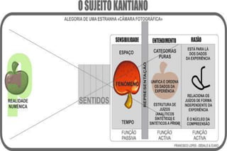 Capitulo 12. buscando a verdade