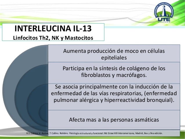 AINTIINFLAMATORIOS AINES NO SELECTIVOS UTE AINTIINFLAMATORIOS AINES NO SELECTIVOS UTE