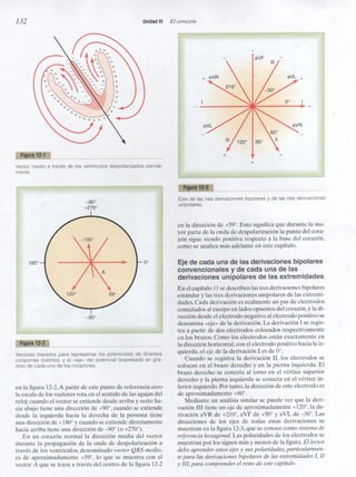 Capitulo 12  interpretacón electrocardiografica