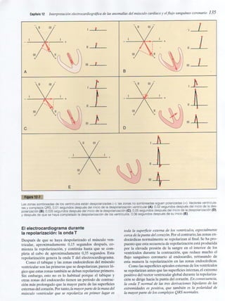 Capitulo 12  interpretacón electrocardiografica