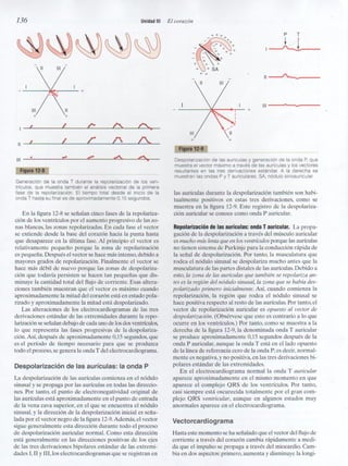 Capitulo 12  interpretacón electrocardiografica