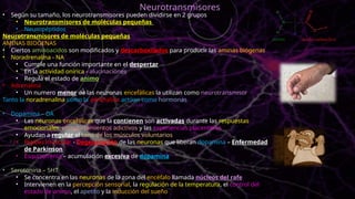 • Según su tamaño, los neurotransmisores pueden dividirse en 2 grupos
• Neurotransmisores de moléculas pequeñas
• Neuropéptidos
Neurotransmisores de moléculas pequeñas
AMINAS BIOGENAS
• Ciertos aminoacidos son modificados y descarboxilados para producir las aminas biógenas
• Noradrenalina - NA
• Cumple una función importante en el despertar
• En la actividad onírica - alucinaciones
• Regula el estado de animo
• Adrenalina
• Un numero menor de las neuronas encefálicas la utilizan como neurotransmisor
Tanto la noradrenalina como la adrenalina actúan como hormonas
• Dopamina – DA
• Las neuronas encefálicas que la contienen son activadas durante las respuestas
emocionales, comportamientos adictivos y las experiencias placenteras
• Ayudan a regular el tono de los músculos voluntarios
• Rigidez muscular - Degeneración de las neuronas que liberan dopamina – Enfermedad
de Parkinson
• Esquizofrenia – acumulación excesiva de dopamina
• Serotonina – 5HT
• Se concentra en las neuronas de la zona del encéfalo llamada núcleos del rafe
• Intervienen en la percepción sensorial, la regulación de la temperatura, el control del
estado de animo, el apetito y la inducción del sueño
Neurotransmisores
 