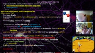 • Según su tamaño, los neurotransmisores pueden dividirse en 2 grupos
• Neurotransmisores de moléculas pequeñas
• Neuropéptidos
Neurotransmisores de moléculas pequeñas
Oxido nítrico - NO
• Es un gas simple
• Segregado en el encéfalo, la medula espinal, las glándulas suprarrenales y los nervios del
pene
• Produce varios efectos en el cuerpo
• Constituido por un único átomo de nitrógeno - NO
• Oxido nitroso - N2O – 2 átomos de nitrógeno
• Gas hilarante – en ocasiones se utiliza como anestésico durante procesos
dentales
• La enzima oxido nítrico sintetasa NOS – forma NO a partir del aminoácido arginina
• Se estima que mas del 2% de las neuronas encefálicas producen NO
• No se sintetiza de antemano ni se acumula en vesículas sinápticas
• Su producción se regula según su demanda y actúa en forma inmediata
• Sus efectos son breves
• Es liposoluble
• El NO cumple un papel en el aprendizaje y la memoria
• Vasodilatador
Neurotransmisores
 