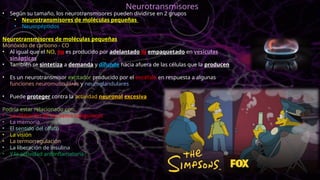 • Según su tamaño, los neurotransmisores pueden dividirse en 2 grupos
• Neurotransmisores de moléculas pequeñas
• Neuropéptidos
Neurotransmisores de moléculas pequeñas
Monóxido de carbono - CO
• Al igual que el NO, no es producido por adelantado ni empaquetado en vesículas
sinápticas
• También se sintetiza a demanda y difunde hacia afuera de las células que la producen
• Es un neurotransmisor excitador producido por el encéfalo en respuesta a algunas
funciones neuromusculares y neuroglandulares
• Puede proteger contra la actividad neuronal excesiva
Podría estar relacionado con:
• La dilatación de los vasos sanguíneos
• La memoria
• El sentido del olfato
• La visión
• La termorregulación
• La liberación de insulina
• Y la actividad antiinflamatoria
Neurotransmisores
 