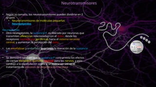 • Según su tamaño, los neurotransmisores pueden dividirse en 2
grupos
• Neurotransmisores de moléculas pequeñas
• Neuropéptidos
Neuropéptido
• Otro neuropéptido, la sustancia P, es liberado por neuronas que
transmiten aferencias relacionadas con el dolor, desde los
receptores nociceptivos periféricos hacia el sistema nervioso
central, y aumentan la percepción del dolor.
• Las encefalinas y endorfinas suprimen la liberación de la sustancia
P
• Se demostró también que la sustancia P contrarresta los efectos
de ciertos elementos químicos nocivos para los nervios, y esto
condujo a la especulación sobre si se podría ser útil en el
tratamiento de procesos de degeneración nerviosa
Neurotransmisores
 
