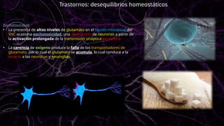 Excitotoxicidad
• La presencia de altos niveles de glutamato en el liquido intersticial del
SNC ocasiona excitotoxicidad, una destrucción de neuronas a partir de
la activación prolongada de la transmisión sináptica excitatoria
• La carencia de oxigeno produce la falla de los transportadores de
glutamato, por lo cual el glutamato se acumula, lo cual conduce a la
muerte a las neuronas y neuroglias.
Trastornos: desequilibrios homeostáticos
 