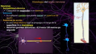 Neuronas
• Excitabilidad eléctrica
• Capacidad de responder a un estimulo
• Estimulo
• Es cualquier cambio que pueda iniciar un potencial de
acción
• Potencial de acción
• Es una señal eléctrica que se propaga a lo largo de la
superficie de la membrana
• Recorren grandes distancias – 0,5 hasta 130 metros por
segundo
Histología del tejido nervioso
 