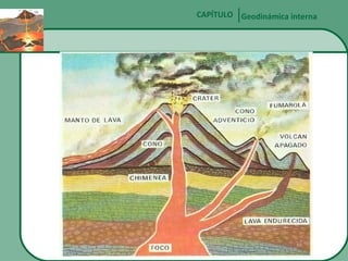 CAPÍTULO Geodinámica interna

 