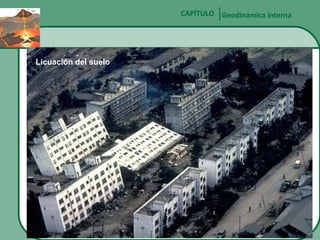 CAPÍTULO Geodinámica interna

Licuación del suelo

 