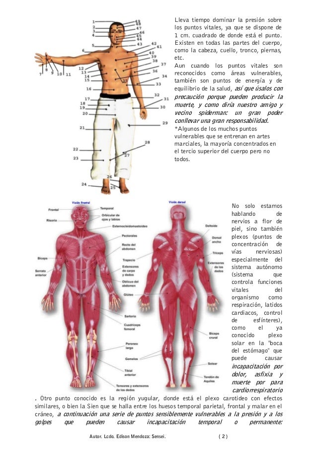 Capitulo 13 (EL CAZADOR DESARMADO.