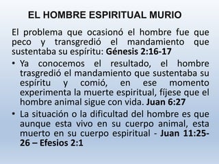 El problema que ocasionó el hombre fue que
peco y transgredió el mandamiento que
sustentaba su espíritu: Génesis 2:16-17
• Ya conocemos el resultado, el hombre
trasgredió el mandamiento que sustentaba su
espíritu y comió, en ese momento
experimenta la muerte espiritual, fíjese que el
hombre animal sigue con vida. Juan 6:27
• La situación o la dificultad del hombre es que
aunque esta vivo en su cuerpo animal, esta
muerto en su cuerpo espiritual - Juan 11:25-
26 – Efesios 2:1
EL HOMBRE ESPIRITUAL MURIO
 