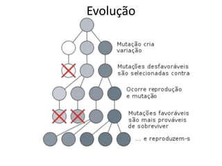 Evolução
 