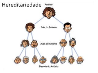 Hereditariedade
 