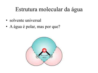 Estrutura molecular da água
• solvente universal
• A água é polar, mas por que?
 
