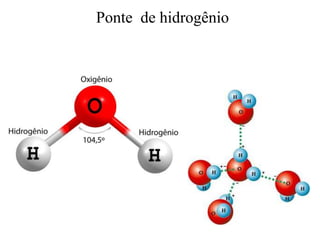 Ponte de hidrogênio
 