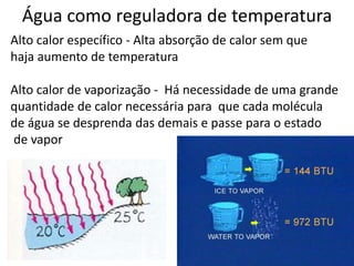 Água como reguladora de temperatura
Alto calor específico - Alta absorção de calor sem que
haja aumento de temperatura
Alto calor de vaporização - Há necessidade de uma grande
quantidade de calor necessária para que cada molécula
de água se desprenda das demais e passe para o estado
de vapor
 