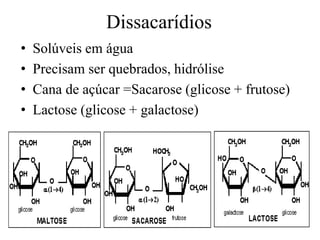 Dissacarídios
• Solúveis em água
• Precisam ser quebrados, hidrólise
• Cana de açúcar =Sacarose (glicose + frutose)
• Lactose (glicose + galactose)
 