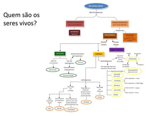 Quem são os
seres vivos?
 