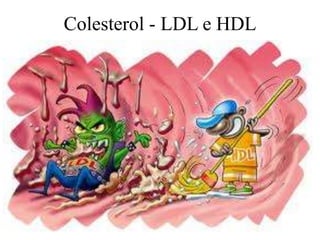 Colesterol - LDL e HDL
 