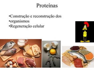 Proteínas
•Construção e reconstrução dos
•organismos
•Regeneração celular
 