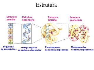 Estrutura
 