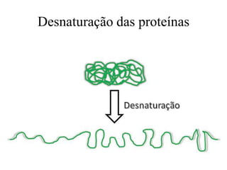 Desnaturação das proteínas
 