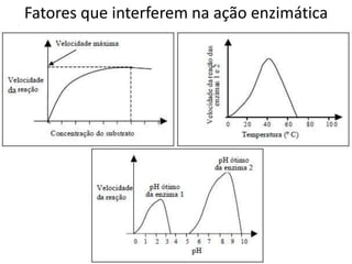 Fatores que interferem na ação enzimática
 