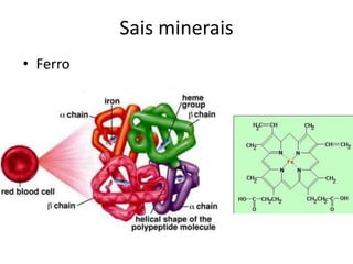 Sais minerais
• Ferro
 