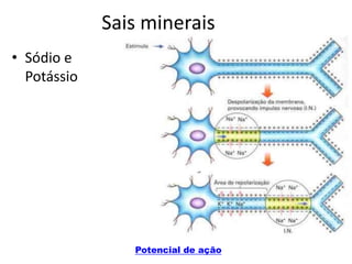 Sais minerais
• Sódio e
Potássio
Potencial de ação
 