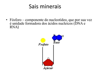 Sais minerais
• Fósforo – componente do nucleotídeo, que por sua vez
é unidade formadora dos ácidos nucleicos (DNA e
RNA)
 