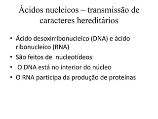 Ácidos nucleicos – transmissão de
caracteres hereditários
• Ácido desoxirribonucleico (DNA) e ácido
ribonucleico (RNA)
• São feitos de nucleotídeos
• O DNA está no interior do núcleo
• O RNA participa da produção de proteínas
 