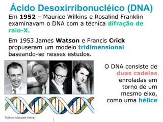 Ácido Desoxirribonucléico (DNA)
Em 1952 – Maurice Wilkins e Rosalind Franklin
examinavam o DNA com a técnica difração de
raio-X.
Em 1953 James Watson e Francis Crick
propuseram um modelo tridimensional
baseando-se nesses estudos.
O DNA consiste de
duas cadeias
enroladas em
torno de um
mesmo eixo,
como uma hélice
 