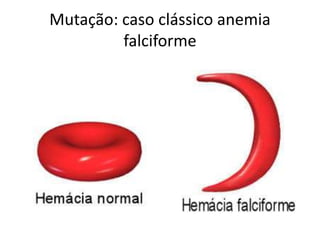 Mutação: caso clássico anemia
falciforme
 