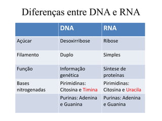 DNA RNA
Açúcar Desoxirribose Ribose
Filamento Duplo Simples
Função Informação
genética
Síntese de
proteínas
Bases
nitrogenadas
Pirimidinas:
Citosina e Timina
Pirimidinas:
Citosina e Uracila
Purinas: Adenina
e Guanina
Purinas: Adenina
e Guanina
Diferenças entre DNA e RNA
 