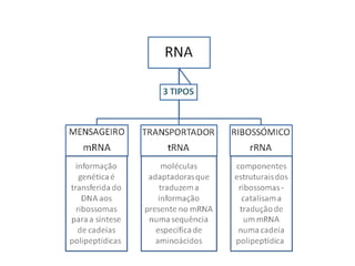 Capitulo 1, 3, 4, 5 e 6