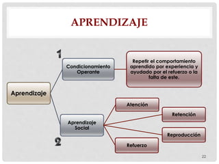 Aprendizaje
Aprendizaje
Social
Atención
Reproducción
Retención
Refuerzo
Condicionamiento
Operante
Repetir el comportamiento
aprendido por experiencia y
ayudado por el refuerzo o la
falta de este.
APRENDIZAJE
22
 