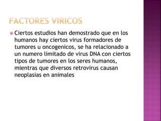  Ciertos estudios han demostrado que en los
humanos hay ciertos virus formadores de
tumores u oncogenicos, se ha relacionado a
un numero limitado de virus DNA con ciertos
tipos de tumores en los seres humanos,
mientras que diversos retrovirus causan
neoplasias en animales
 