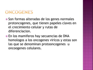  Son formas alteradas de los genes normales
protoncogenes, que tienen papeles claves en
el crecimiento celular y rutas de
diferenciacion.
 En los mamiferos hay secuencias de DNA
homologos a los oncogenes viricos y estas son
las que se denominan protooncogenes u
oncoogenes celulares.
 