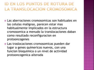  Las aberraciones cromosomicas son habituales en
las celulas malignas, parecen estar mas
habitualmente implicados en la estructura
cromosomica a menudo la translocaciones daban
como resultado reconfiguracion en
protooncogenes
 Las traslocaciones cromosomicas pueden dar
lugar a genes quimericos nuevos, con una
funcion bioquimica o un nivel de actividad
protooncogenica alterada
 