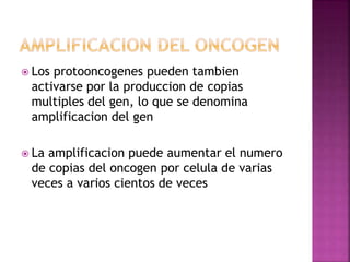  Los protooncogenes pueden tambien
activarse por la produccion de copias
multiples del gen, lo que se denomina
amplificacion del gen
 La amplificacion puede aumentar el numero
de copias del oncogen por celula de varias
veces a varios cientos de veces
 