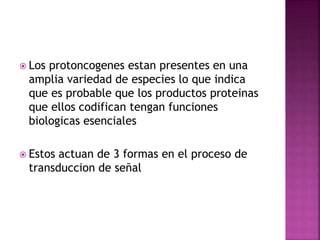 Los protoncogenes estan presentes en una
amplia variedad de especies lo que indica
que es probable que los productos proteinas
que ellos codifican tengan funciones
biologicas esenciales
 Estos actuan de 3 formas en el proceso de
transduccion de señal
 