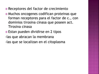  Receptores del factor de crecimiento
 Muchos oncogenes codifican proteinas que
forman receptores para el factor de c., con
dominios tirosina cinasa que poseen act.
Tirosina cinasa
 Estan pueden dividirse en 2 tipos
-las que abracan la membrana
-las que se localizan en el citoplasma
 