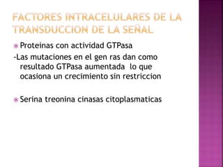  Proteinas con actividad GTPasa
-Las mutaciones en el gen ras dan como
resultado GTPasa aumentada lo que
ocasiona un crecimiento sin restriccion
 Serina treonina cinasas citoplasmaticas
 