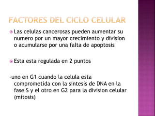  Las celulas cancerosas pueden aumentar su
numero por un mayor crecimiento y division
o acumularse por una falta de apoptosis
 Esta esta regulada en 2 puntos
-uno en G1 cuando la celula esta
comprometida con la sintesis de DNA en la
fase S y el otro en G2 para la division celular
(mitosis)
 