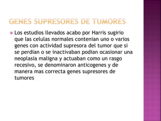  Los estudios llevados acabo por Harris sugirio
que las celulas normales contenian uno o varios
genes con actividad supresora del tumor que si
se perdian o se inactivaban podian ocasionar una
neoplasia maligna y actuaban como un rasgo
recesivo, se denominaron anticogenes y de
manera mas correcta genes supresores de
tumores
 