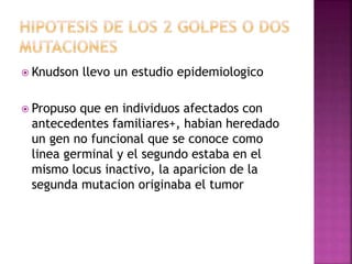  Knudson llevo un estudio epidemiologico
 Propuso que en individuos afectados con
antecedentes familiares+, habian heredado
un gen no funcional que se conoce como
linea germinal y el segundo estaba en el
mismo locus inactivo, la aparicion de la
segunda mutacion originaba el tumor
 