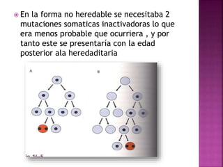  En la forma no heredable se necesitaba 2
mutaciones somaticas inactivadoras lo que
era menos probable que ocurriera , y por
tanto este se presentaría con la edad
posterior ala heredaditaria
 