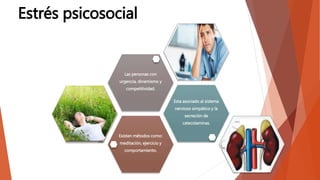Estrés psicosocial
Existen métodos como:
meditación, ejercicio y
comportamiento.
Esta asociado al sistema
nervioso simpático y la
secreción de
catecolaminas.
Las personas con
urgencia, dinamismo y
competitividad.
 